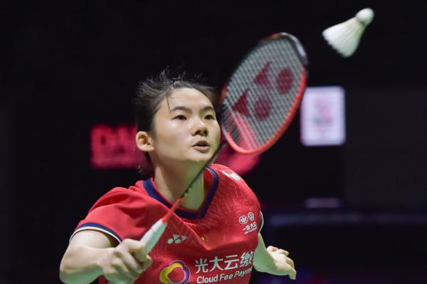 的完美展示 的完美展示