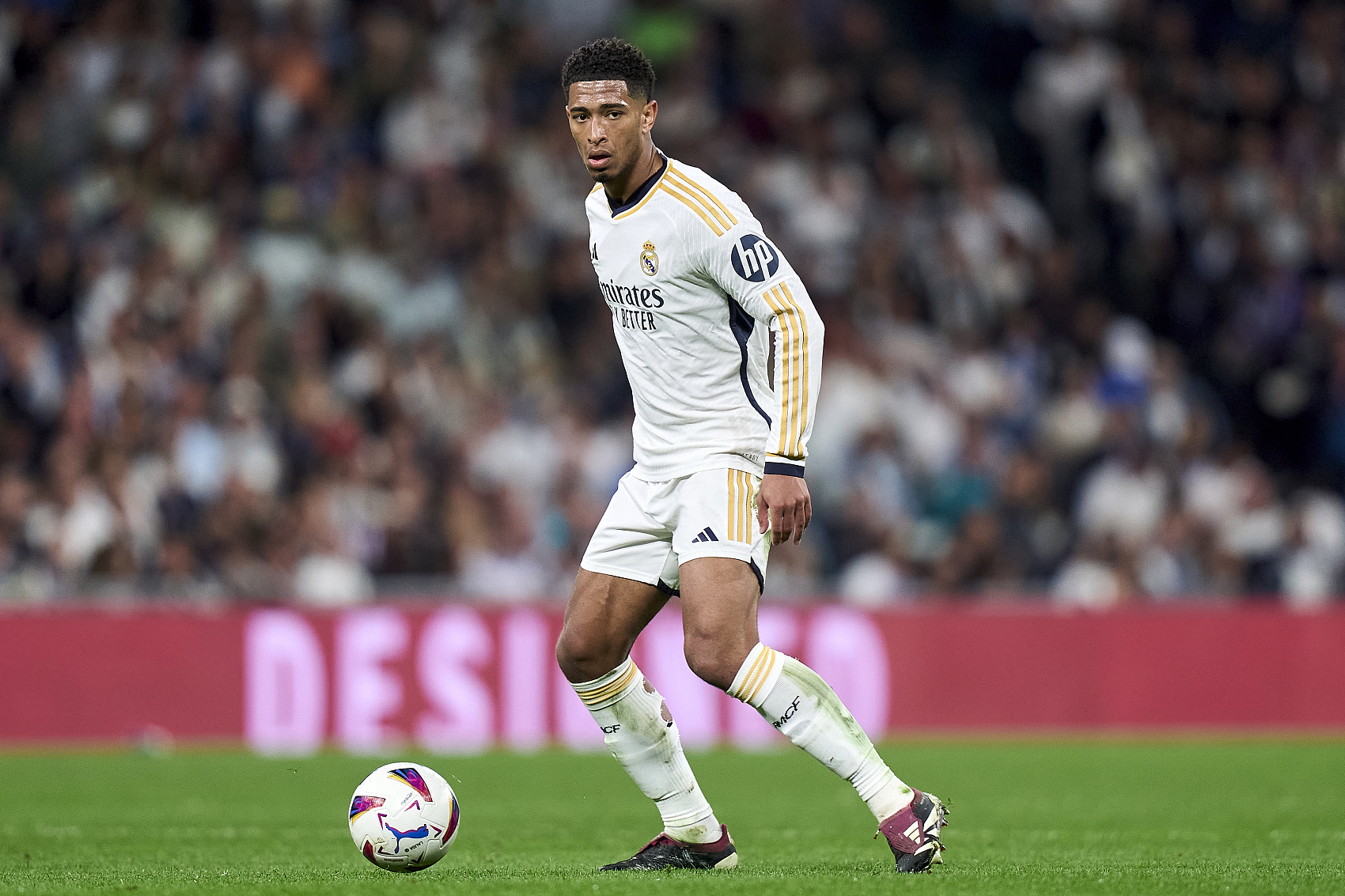 了意想不到 了意想不到