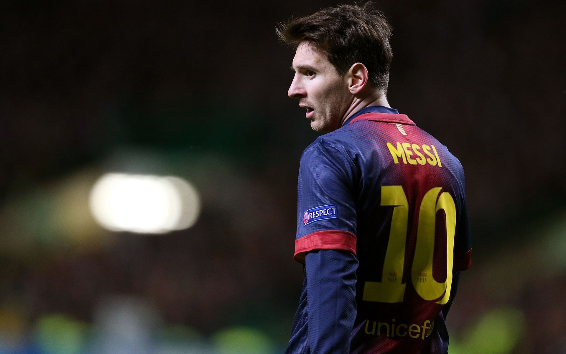 太阳的主要 太阳的主要